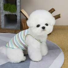 宠物服装，春夏新款，小型动物背心，猫咪背带，透气狗狗服装 - 紅色 - 查看 9