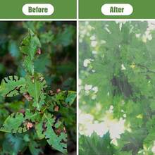 1 Pc Fruit Tree Netting Cover With Drawstring Garden Netting Bags Fruit And Plant Protection Bag Garden Mesh Plant Mulch For Vegetables Fruits Flowers Protect Vegetable Fruit Trees From Insect Birds - Insect Netting - View 6