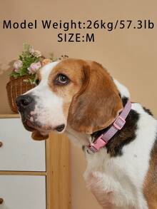 1件装涤纶柔软猫狗配饰粉色哑光闪光宠物猫狗项圈，适合小型猫狗室内外使用（不适合大型犬） - 彩色 - 查看 8