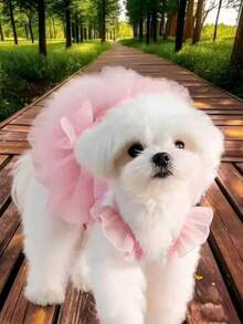 宠物狗和猫荷叶边袖公主裙，适合贵宾犬、比熊犬、博美犬、马耳他犬、约克夏犬等小型犬，生日派对服装，春夏季 - 粉色 - 查看 14