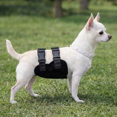 Washable Dog Diapers, Absorbent & Reusable Pet Physiological Pants, Adjustable Dog Shorts