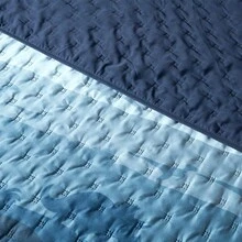 Quilts - Jurassic - View 4