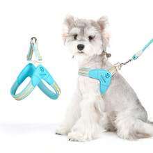 小型犬露背式胸背帶，易穿脫可調節頸部與胸部背心式胸背帶，柔軟加厚內裡附牽繩扣，適用於中小型犬，適合日常散步與訓練，可搭配牽繩使用 - 彩色 - 查看 7