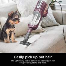 Ceritified Refurbished Shark HZ702 Ultralight PetPro Corded Stick Vacuum With PowerFins HairPro Odor Neutralizer Technology, Crevice & Upholstery Tool, Precision Duster, Wine Purple (Renewed) - 查看 3