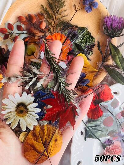 植物標本 PET クリアステッカー 50枚入り スーツケース、ノートパソコン、スクラップブック、ジャーナル、装飾アートボード、ギター、スケートボード、水筒 DIYデカール アート