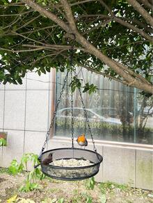1 Stück Hänge-Vogelfutterstation, große Kapazität Outdoor Hänge-Vogelfütterungsstation, Kolibri-Futterstation für den Balkon, Anti-Eichhörnchen automatische Vogelfutterstation - Einheitsgröße - Übersicht 2