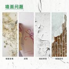 White Repair Paint, Home Wall Filler Paste, Graffiti & Mildew Stain Cover, Wall Renovation Repair Paint - A - View 4