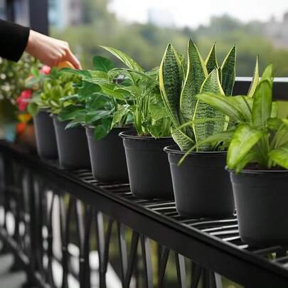加厚塑料花盆，带排水孔，轻便椭圆形育苗盆，适用于幼苗培育、繁殖和移栽 - 促进根系健康生长，户外盆栽（高性价比）