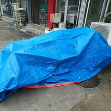 Esta lona impermeable de doble cara, gruesa y resistente al agua, presenta un lado azul que protege de la lluvia y la nieve, y un lado naranja que refleja la luz solar. Su diseño bicolor ofrece una práctica funcionalidad. Fabricada con polietileno de alta resistencia, es robusta y resistente al desgarro, con ojales metálicos y bordes reforzados. Ideal para cubrir muebles, proteger jardines e instalar toldos temporales, está disponible en varios tamaños para un uso flexible en diversas situaciones. - azul - Ver 7