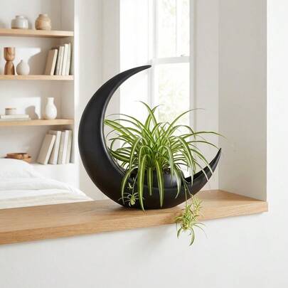 Crescent-Shaped Black Modern Minimalist Succulent Cactus Small Indoor Potted Plant Desktop Decor
