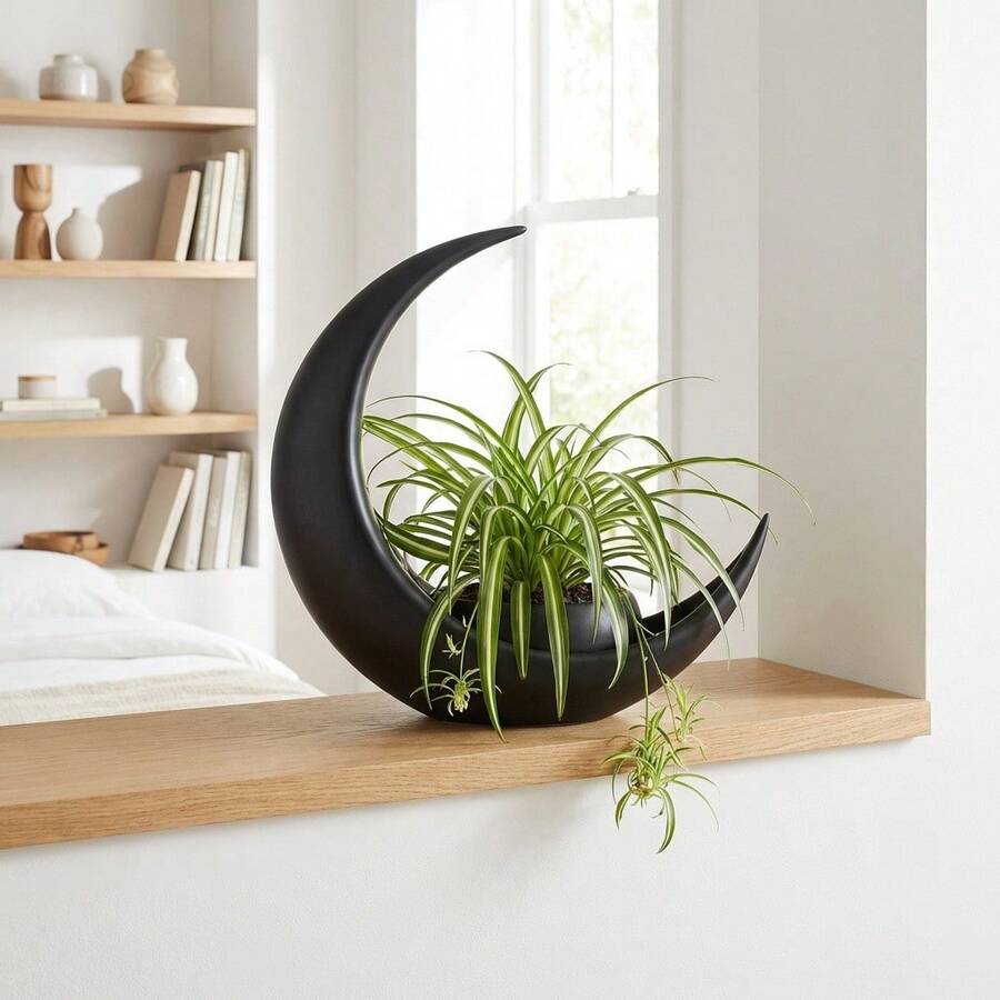 Crescent Moon Planter Pot, Modern Black Moon-Shaped Planter For Succulents, Cactus & Small Indoor Plants, Minimalist Desktop Plant Pot For Home Office Shelf Decor - A - 查看 1