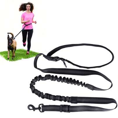 1pc Adjustable Reflective Pet Leash, Waist Strap Running Dog Leash, Elastic Retractable Dog Leash For Outdoor Running, Hiking, Suitable For All Dogs