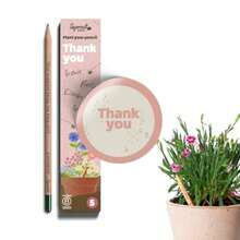 World Pencil Thank You Edition Plantable Pencils With Flower Seeds  Gift To Say Thank You Pack Of 5 -Friendly Wood - Cảm ơn - Xem 8