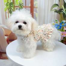 1件柔软宠物连衣裙，公主风猫咪及小型犬服装，透气碎花连衣裙，适合贵宾犬、泰迪熊、比熊犬等小型犬春夏穿着 - 彩色 - 查看 5