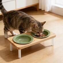 Bộ 2 bát ăn cho thú cưng bằng gốm hình nón rơm, chân đế bằng acrylic và gỗ chắc chắn, bát đôi dành cho mèo và chó. - 180ml - Xem 8