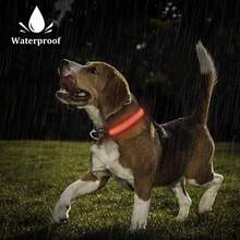 LED Light-Up Dog Collar: Rechargeable Waterproof Safety Collar For Nighttime Walks - Glow-In-The-Dark Pet Accessory - Best Neon Light-Up USB Attachment - Multicolor - View 10