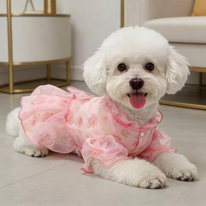 花卉印花网纱宠物连衣裙，适合猫咪和小型/中型犬的配套服装，春季穿着