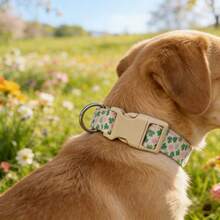 柔软亲肤的幸运四叶草宠物项圈，适合遛狗和遛猫 - 綠色 - 查看 4