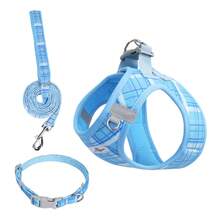 Conjunto de correa para perro con estilo de arnés y color macaron, correa para el cuello de collar pequeño para perro, equipo de paseo - Multicolor - Ver 8