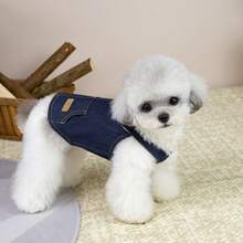 New Pet Shirt, Cat Clothes, Dog Clothes, Suspender Shirt, Dog Shirt, Cat Floral Shirt New Spring/Summer, 2026 Suspender, Animal Suspender Shirt, Cat Clothes, New Spring/Summer, Small Animal Clothes, 2026 Suspender - Baby Blue - View 8