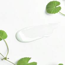 celimax 真正的積雪草舒緩霜 | 蘊含新鮮積雪草萃取物，無油配方，保濕滋潤，舒緩肌膚，適合乾性、油性、混合性和敏感性肌膚，韓國護膚品，輕盈凝膠霜，50毫升 - 50毫升 *1件 - 查看 6