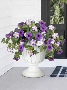 Morado