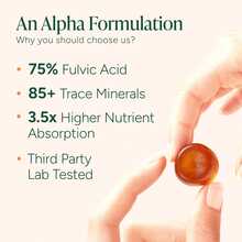 10-In-1 Alpha Shilajit Gummies | 4000 Mg Pure Himalayan Shilajit With Tongkat Ali & Maca Root | For Men & Women | ShilAbsorb Bioavailability Tech | Sugar-Free, Vegan | 60 Gummies Vitamins Supplements Chlorophyll Creatina Monohidratada Vitamins Probiotics For Women Protein Powder Quick Ship Items  Creatina Colageno - 60 Đếm - Xem 3