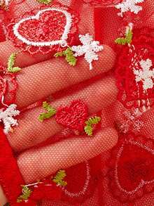 2pcs/Set Seamless Label Intimate Lingerie Set, Sexy Lace Embroidery Sheer Push Up Bra And Panty Set For Women - Red - View 3