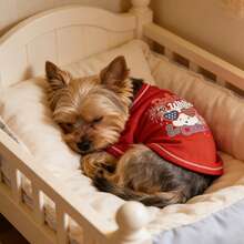 1件宠物衣服，狗狗图案T恤，适合中小型贵宾犬和泰迪犬，春秋季，狗狗/猫咪服装，大红色狗狗T恤，防掉毛，家居服 - 紅色 - 查看 1