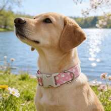 Pink Daisy Dog Collar & Leash Set, Adjustable For Small/Medium/Large Dogs, Comfortable & Anti-Lost & Anti-Pulling - Pink - View 10