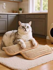 Cat Toy Pillow, Bite-Resistant, Self-Entertainment, Cat Scratch Pad, Cat Toy, Cat Toy Pillow, Sisal Cat Scratch Board Pad, Scratch & Bite Resistant, Cat Filled, Cat Toy Scratching Post, Suitable For 4 Seasons, Alternative To Teaser Wand, Pet Accessory, Non-Shedding Fabric, Self-Play Pillow, Cat Owner, Multi-Pet Household - Multicolor - View 8