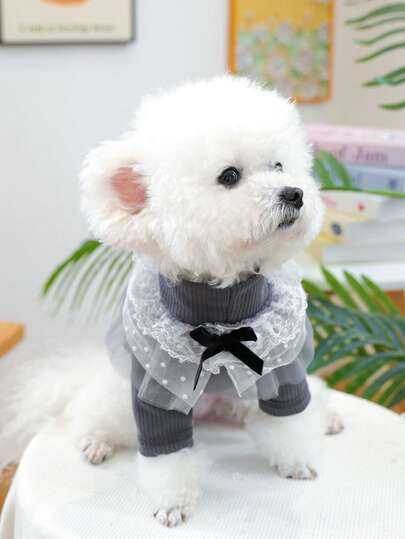 1pc Pet Clothes, Dog Apparel, Gray Mesh Bib Undershirt, Lightweight Breathable Spring/Summer New Arrivals
