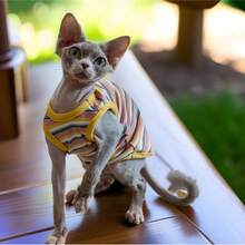 Camisa de cuello de canalé para mascotas, atuendo lindo resistente al desprendimiento de pelo, para relajación en interiores y compañía diaria, adecuado para todas las razas de gatos esfinge, top de tirantes de color de contraste elástico y amigable con la piel - Azul - Ver 5