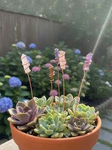 5个六边形水晶植物插杆装饰，植物装饰，花园装饰，家居装饰，户外花盆，花园改造，婚礼装饰，经典设计，优雅装饰，室内装饰，适合植物爱好者 - 彩色 - 查看 6