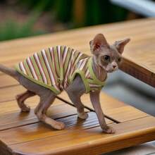 Camisa de cuello de canalé para mascotas, atuendo lindo resistente al desprendimiento de pelo, para relajación en interiores y compañía diaria, adecuado para todas las razas de gatos esfinge, top de tirantes de color de contraste elástico y amigable con la piel - Azul - Ver 13