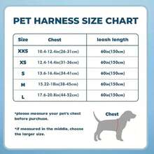 狗狗牵引绳套装，柔软网状防拉扯设计，反光可调节，适合小型至中型犬，可用于散步、跑步、训练宠物背心 - 藍色 - 查看 3