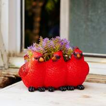 树脂红鸟花盆——这款造型别致、充满奇思妙想的花盆，设计灵感源自身着红袍的僧侣，底部设有排水孔。是送给爱鸟人士的绝佳礼物。 - A - 查看 4