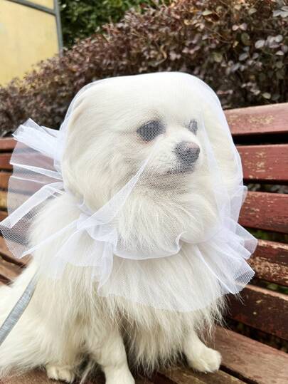 Bozal ajustable, cómodo y transpirable anti-mordeduras para perros pequeños/medianos/grandes, evita el desorden al comer cuando salen