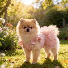 宠物狗和猫荷叶边袖公主裙，适合贵宾犬、比熊犬、博美犬、马耳他犬、约克夏犬等小型犬，生日派对服装，春夏季 - 粉色 - 查看 15