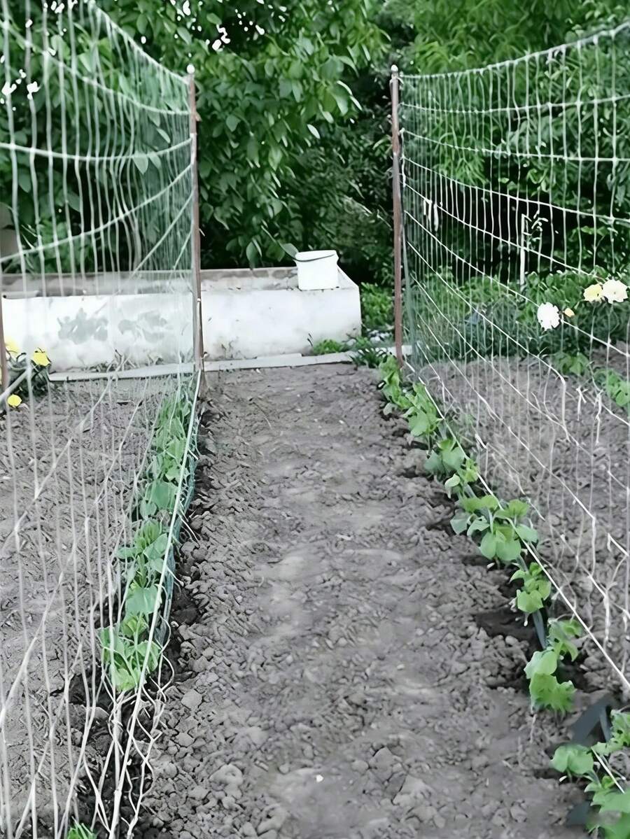 1件装植物攀爬网，攀爬植物支架网，园艺用品和工具，采用耐用涤纶植物支撑网制成，用于培育您的花园，适用于黄瓜、番茄、水果、蔬菜、葡萄、豆类等藤蔓植物，帮助植物健康生长。 - 彩色 - 查看 1