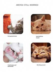 可爱章鱼造型宠物玩具 - 耐用耐咬互动玩具，适合猫咪，宠物用品 - 彩色 - 查看 4