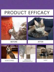 猫咪护理喷雾，舒缓配方，安抚猫咪，防止抓挠和随地小便，温和护理喷雾 - 60ml - 查看 2