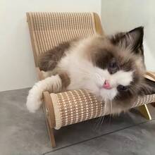 1个剑麻猫抓柱，带猫玩具 - 时尚猫咪家具配件，多层幼猫休息窝，不掉毛宠物必备（二合一设计）猫抓板 - A款 - 查看 9