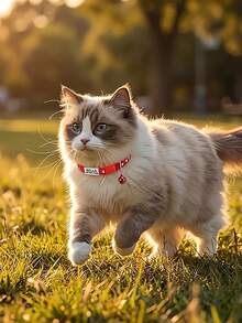 1pc Customized Cat Collar, Cute Pet Cat Collar With Engraved Pet Name Pendant, Perfect Gift For Pets - Multicolor - View 4