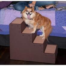 Pet Gear Pet Step IV Escaleras para Mascotas para Perros y Gatos pequeños de hasta 50 Libras Ligeras fáciles de Montar no Requiere Herramientas Disponible en 2 Modelos Moca - Moca - Ver 6