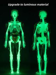 3D可拆卸人体解剖模型，包含完整的骨骼和器官组件，科学教育减压模型，生物医学教学辅助工具，通过组装和拆卸增强对人体解剖学的理解。 - 彩色 - 查看 6