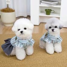Pet Clothes, Spring/ Dress, Animal Shirt, Dog Couple Outfit, Cat Apparel - Blue - View 7