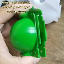 10pcs Reusable Plastic Plant Propagation Box, Durable Rooting Tool For Gardening Hobbyists And Plant Lovers, Cutting, Grafting, Air Layering, Plant Propagation Supplies - B - View 11