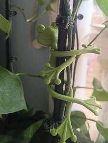 3/5/10个装青蛙造型植物支架，可爱青蛙花盆夹，用于固定攀援植物，多用途青蛙花盆装饰，藤蔓支撑，卡通植物枝条固定器，室内/室外花园装饰 - 青蛙樣式 - 查看 6