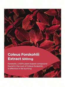 WPTQ Foodology Coleology Body Fat Reduction And Weight Loss Tea 15 Ea - 1 - View 3